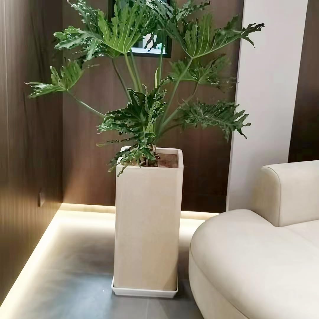 4 Pack Square Plant Saucer 16 Inch, Heavy Plastic Plant Saucer, Deep Heavy Duty Plant Pot Saucers, Planters for Indoors and Outdoors Plants，Large Plant Trays for Pots.