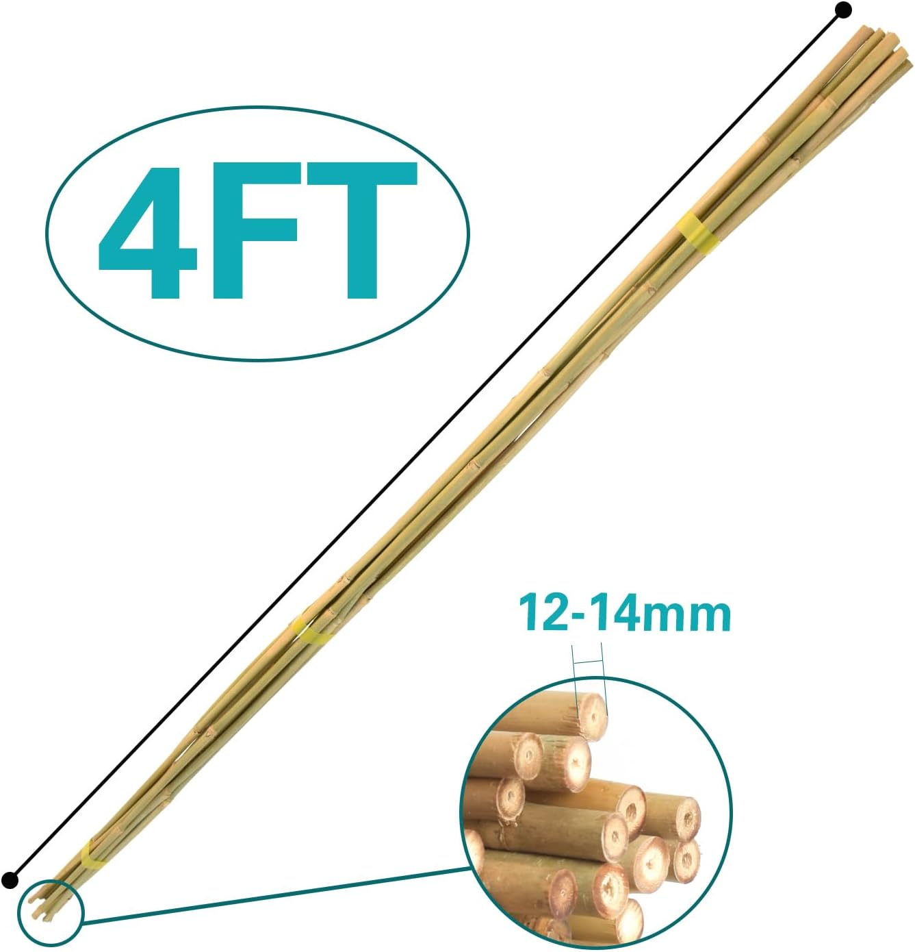 30pcs Bamboo Stakes 4FT, Garden Stakes 48 inch Multi-Purpose, Plant Stakes for Tomatoes, Beans, Cucumbers, Peppers, Flowers, Potted, Maintain The Plant Posture, Strengthen and Stem