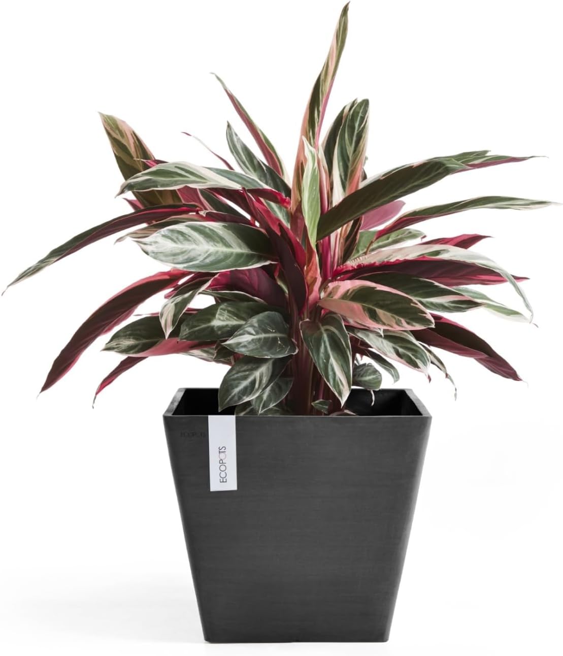 Ecopots Rotterdam Durable Modern Square Indoor/Outdoor Recycled-Based Composite Flower Planter, Dark Grey, 12"