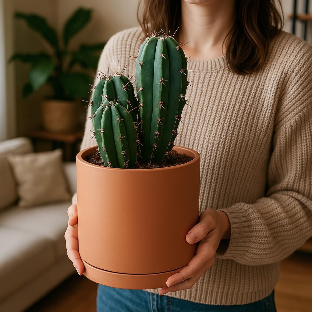 D'vine Dev Terracotta Pots for Plants, 6.5 Inch 8.3 Inch 10 Inch, Round Cylinder Planter Pot with Drainage and Saucer, 40-T-C-0