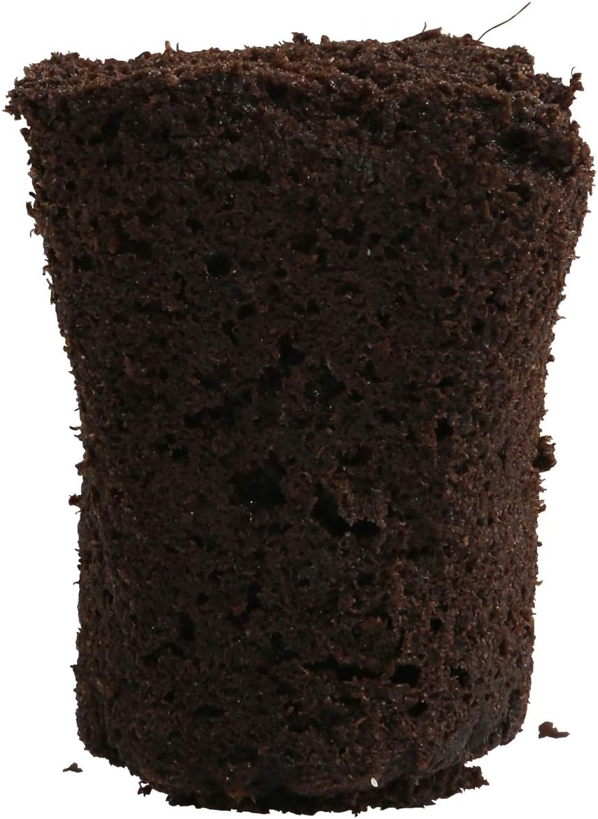 General Hydroponics Rapid Rooter, Starter Plug for Seeds or Cuttings, Great for Soil or Hydroponics Growing System, 50 Plugs