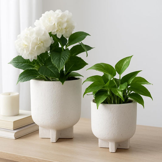 Decorative Ceramic Flower Pots for Home Decor – Planters with Textured Finish for Indoor and Outdoor Plants – Modern Pedestal Plant Pots for Garden, Patio, or Room Decor; Set of 2 – 8", 6" White