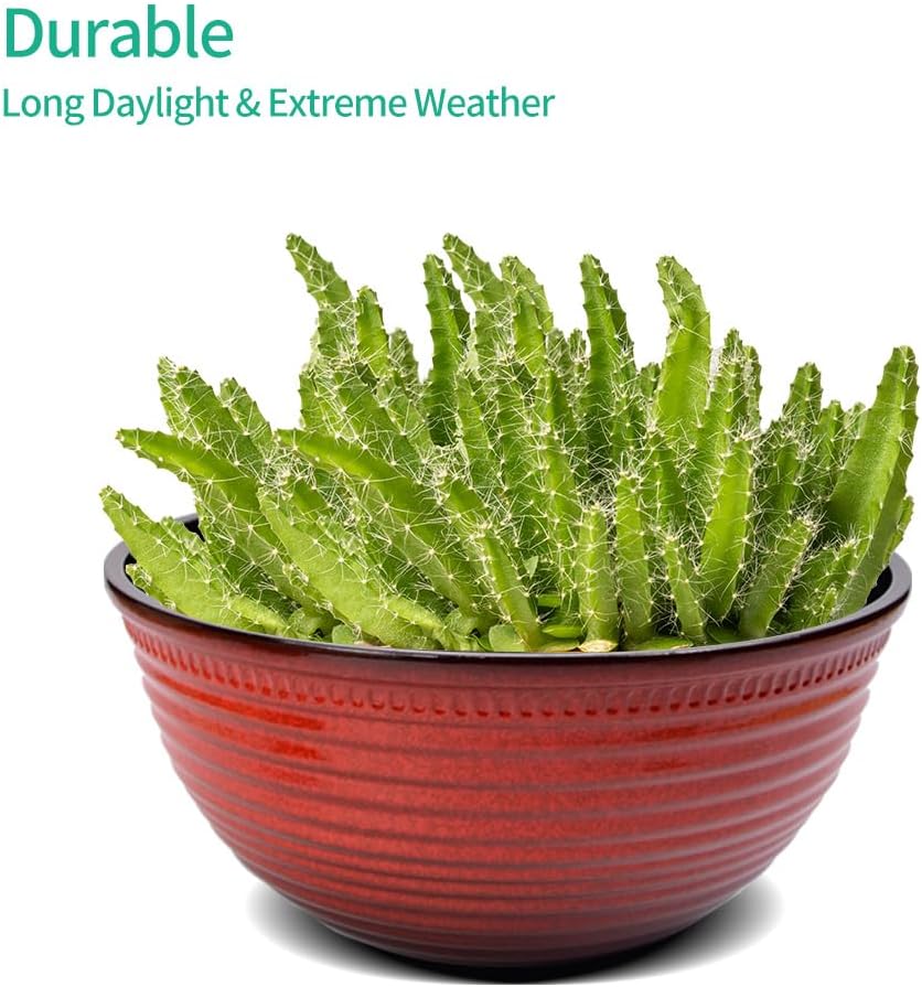 2 Pack 10 Inch Plant Pots,Durable Decorative Flower Pots Planters with Drainage Hole for Indoor and Outdoor Plants,Flowers,Succulents, Red