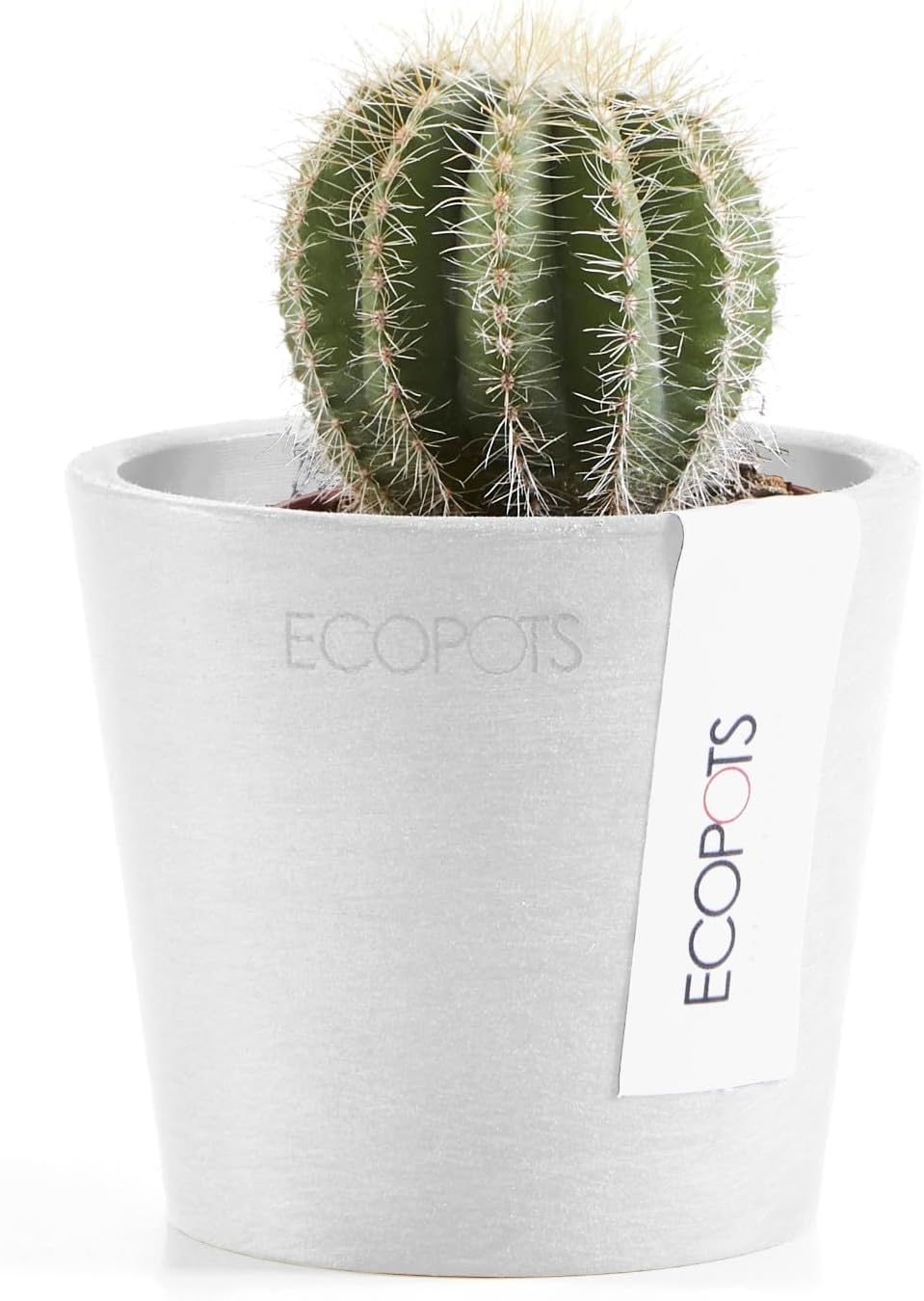 Ecopots Amsterdam Mini Durable Modern Round Recycled-Based Composite Flower Pot Planter, Pure White, 3"