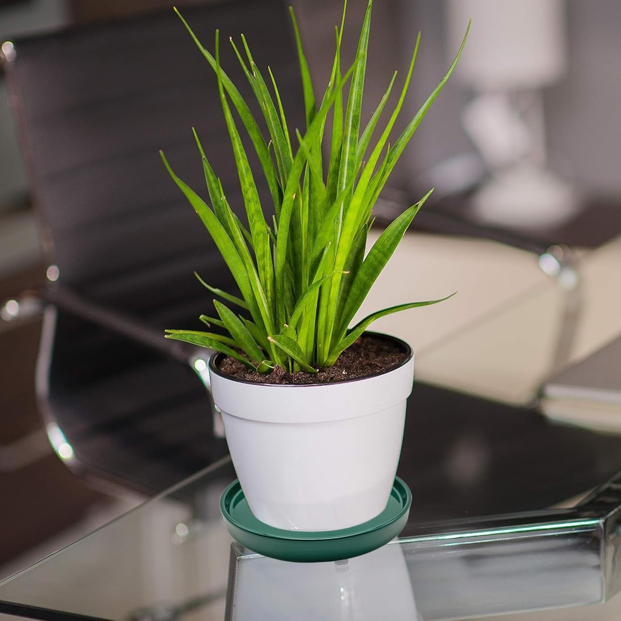 2 Pack Ceramic Plant Saucer Pot Tray 8 Inch, Planter Saucers 4 5 6 7 8 9 10 11 12 Inch for Indoors Outdoor, Durable Sturdy Flower Drainage Tray for Glazed Pots Base (8.5 Inch Green)