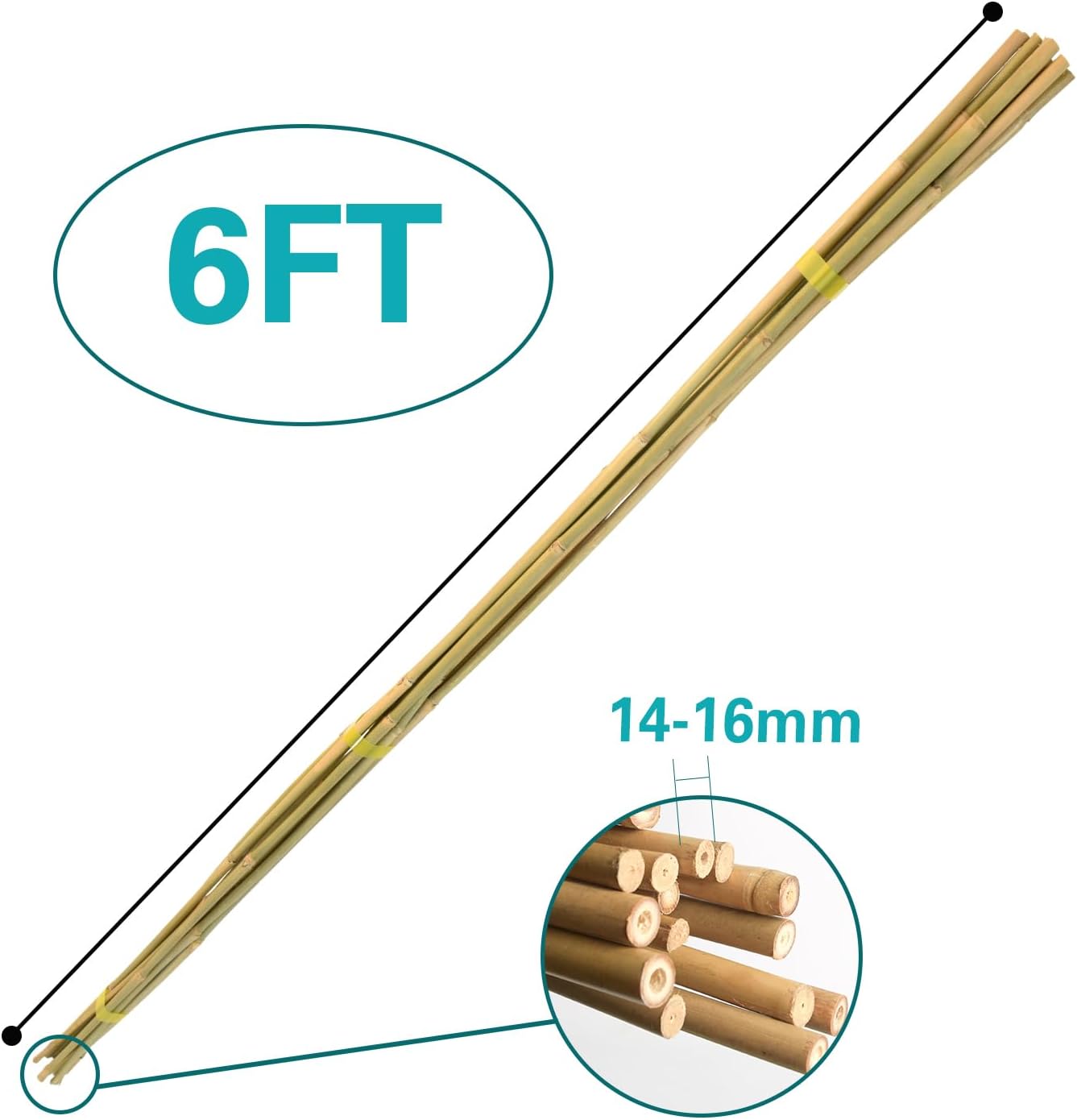 20pcs Bamboo Stakes 6 Feet, 6FT Garden Stakes Multi-Purpose, 5/8" Dia Plant Stakes for Tomatoes, Beans, Cucumbers, Peppers, Potted Trees, Maintain The Plant Posture, Strengthen and Stem