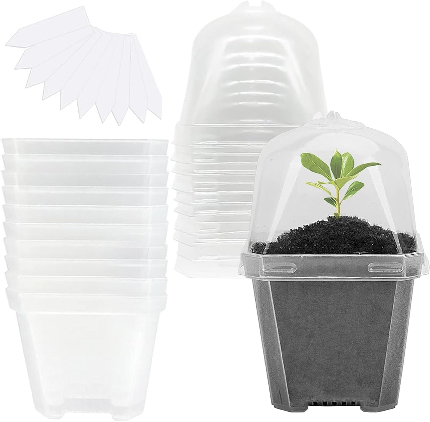 EBaokuup 4" Clear Plant Nursery Pots with Humidity Dome, 10PCS Plastic Gardening Pot Plant Container, Seed Starting Pot with Drain Holes for Seedlings/Vegetables/Succulents/Cuttings