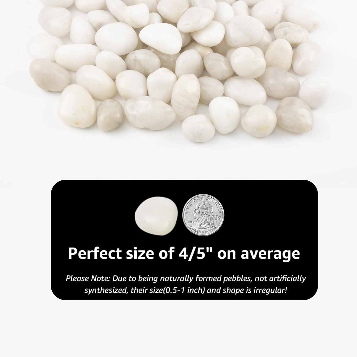 Natural White River Pebbles - LOOIOOJ 20 Lbs Polished Decorative Rocks, 0.5-1 inch, for Aquariums, Gardens, and Indoor Plant Drainage (White, Weight: 20 LB)