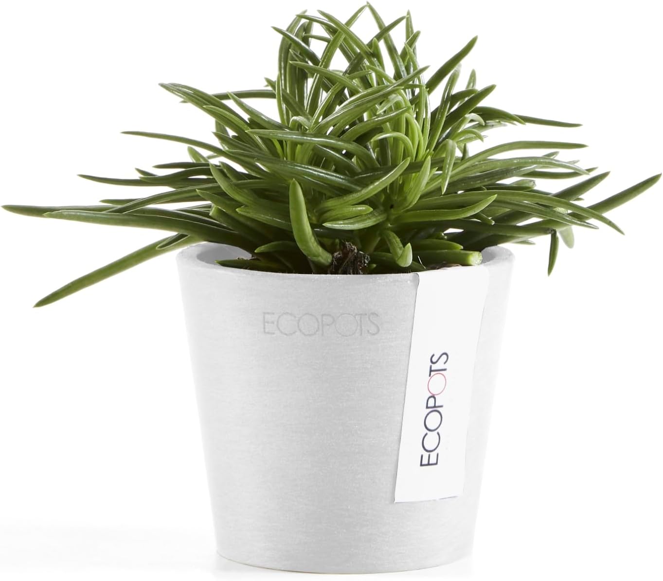 Ecopots Amsterdam Mini Durable Modern Round Recycled-Based Composite Flower Pot Planter, Pure White, 3"