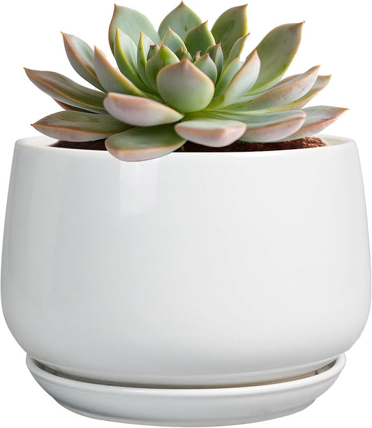 G EPGardening Ceramic Pots for Plants - 6 Inch Planter for Indoor Plants, Flower Pots with Drainage and Ceramic Tray, Modern Office Decor, Gifts for Plant Lovers, White