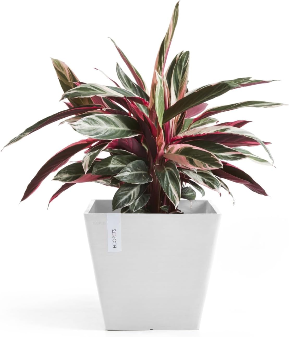 Ecopots Rotterdam Durable Modern Square Indoor/Outdoor Recycled-Based Composite Flower Planter, Pure White, 15.75"