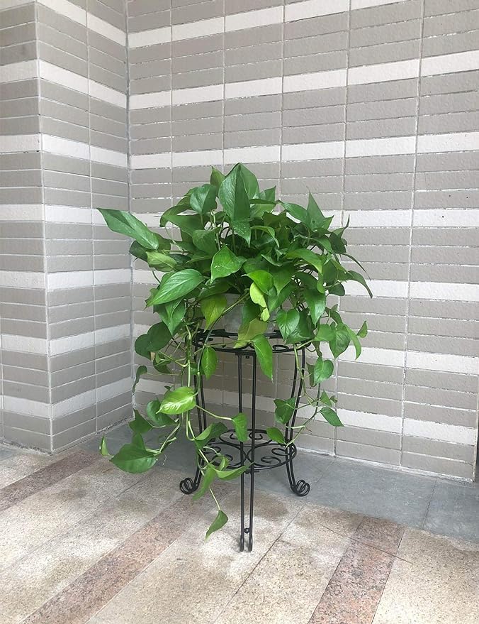 18.9inch Tall Plant Stand for Flower Pot Heavy Duty Potted Holder Indoor Outdoor Metal Rustproof Iron Garden Container Round Supports Rack