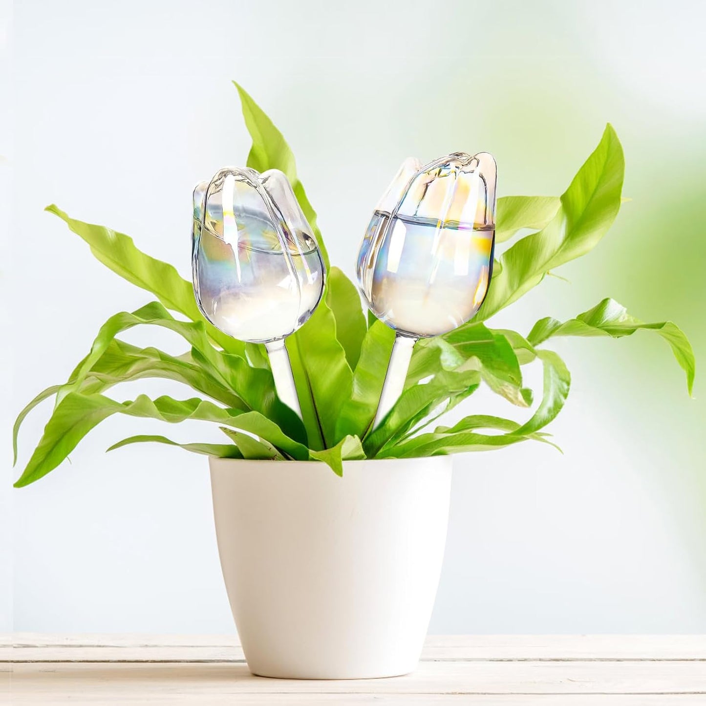 2Pcs Tulips Self Plant Watering Globes, Glass Self Watering Planter Insert, Automatic Plant Waterer Devices Indoor Outdoor (Transparent)