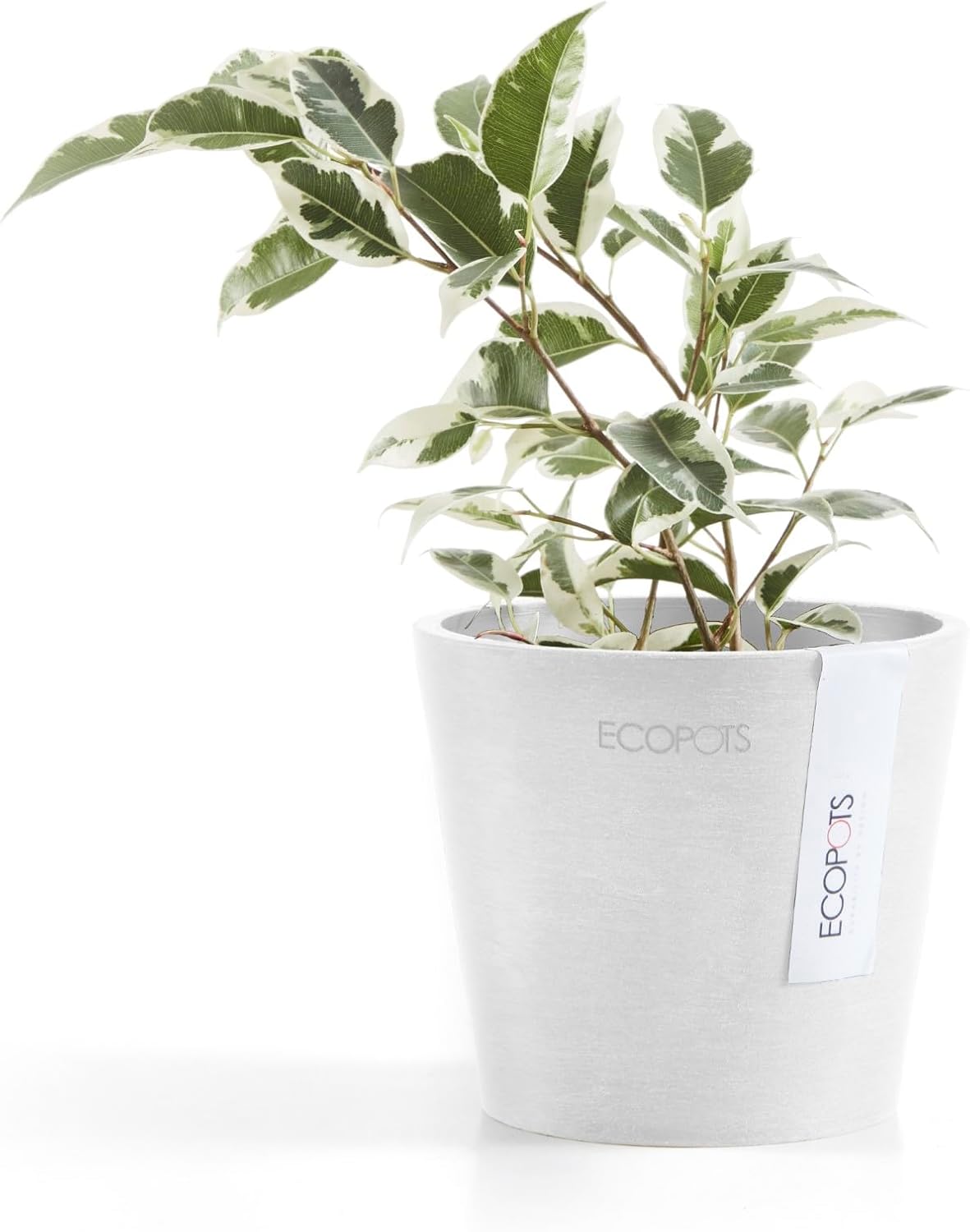 Ecopots Amsterdam Mini Durable Modern Round Recycled-Based Composite Flower Pot Planter, Pure White, 4"