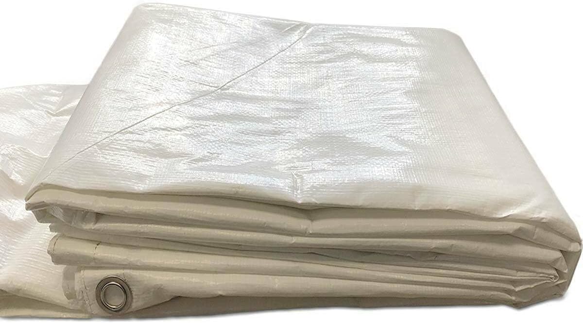 20' x 30' Economy Sidewall Kit for Canopy Tent, Complete Set of (2) White 20' and (2) 30' Side Walls for 7' Foot Height Party Frame and Outdoor Pole Tents, Tent Not Included