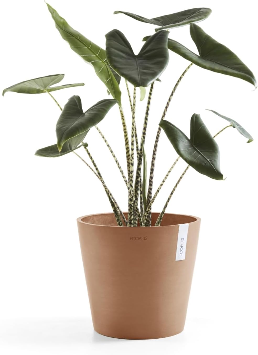 Ecopots Amsterdam Durable Modern Round Indoor/Outdoor Recycled-Based Composite Flower Pot Planter, Terracotta Color, 10"