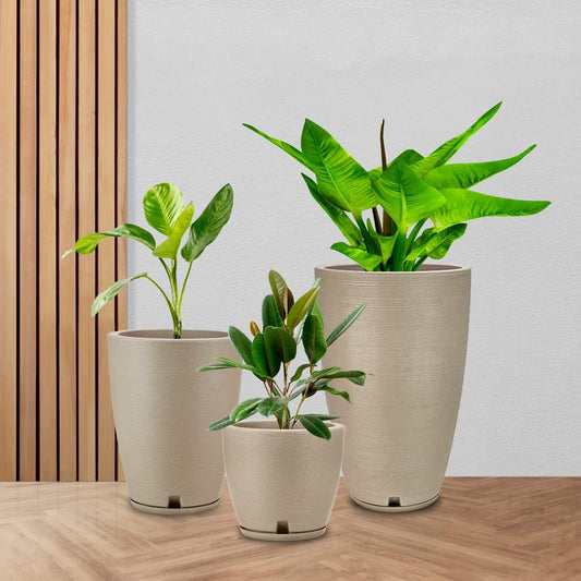 Floridis Planter, Set of 3, Outdoor/Indoor, Plastic Resin (Beige)