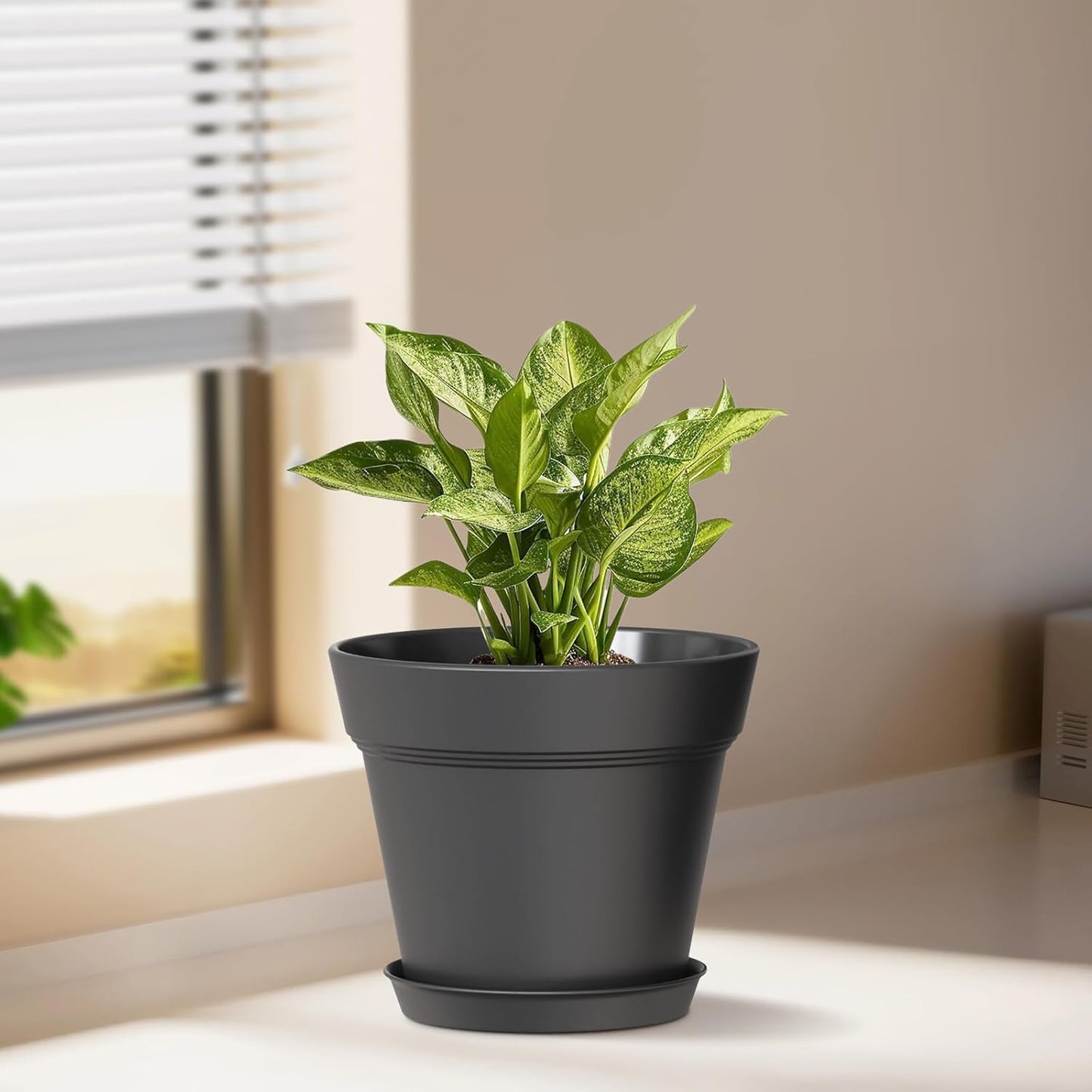 5 Inch Plastic Plant Pots with Drainage Holes and Trays – 6 Pack Small Nursery Pots for Indoor & Outdoor House Plants and Flowers, Seedling Starter Planters, Matte Black