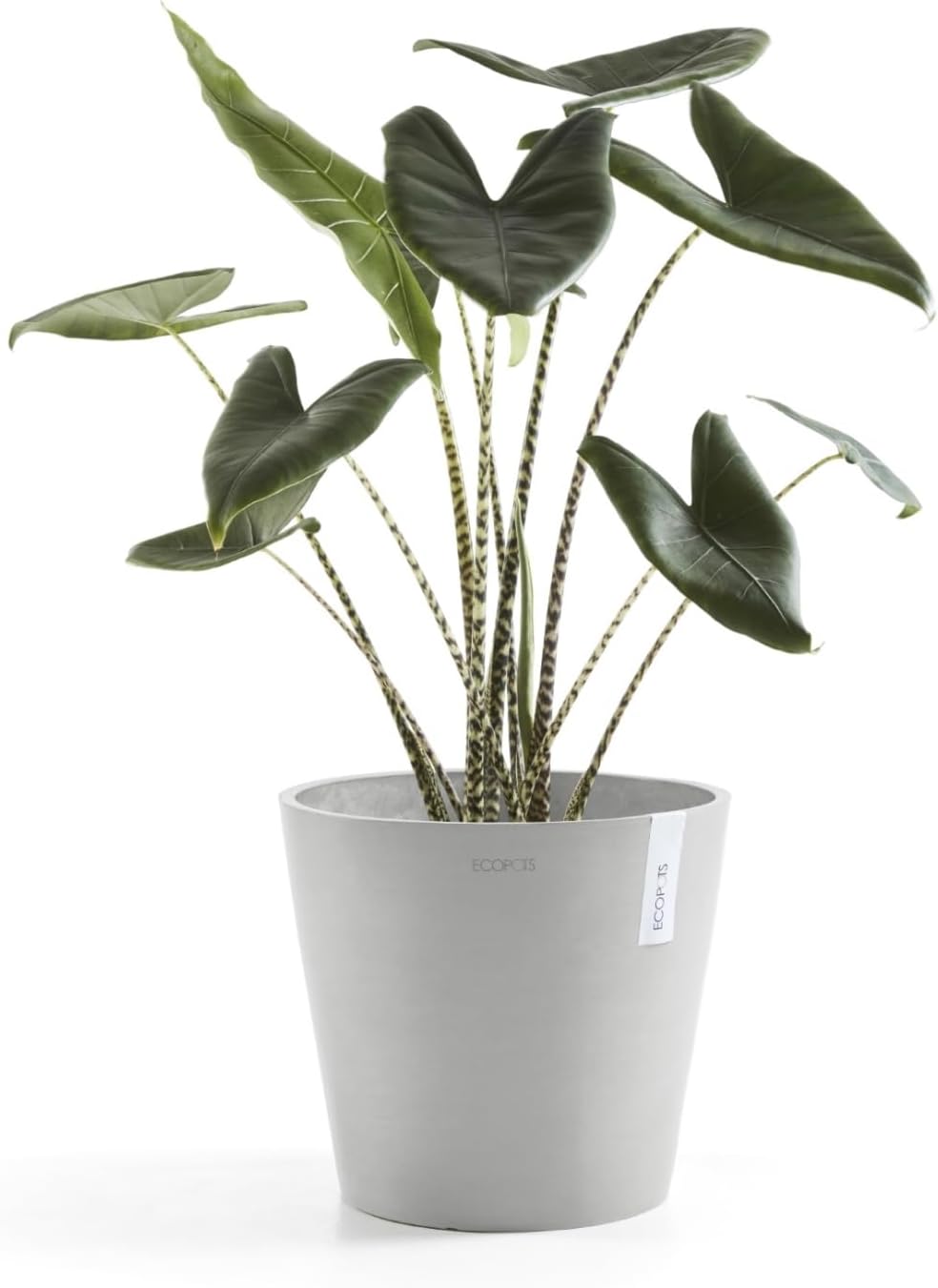 Ecopots Amsterdam Durable Modern Round Indoor/Outdoor Recycled-Based Composite Flower Pot Planter, White Grey, 12"