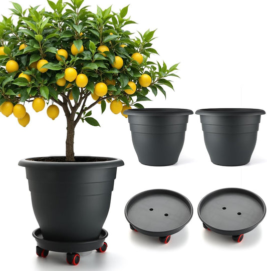 3-Pack Jumbo 15.7 Inch Planters with Rolling Saucers & Drainage – Large Flower Pots for Indoor/Outdoor, Heavy-Duty Moving Trays, Fits Tall Plants (Set of 3, Black)