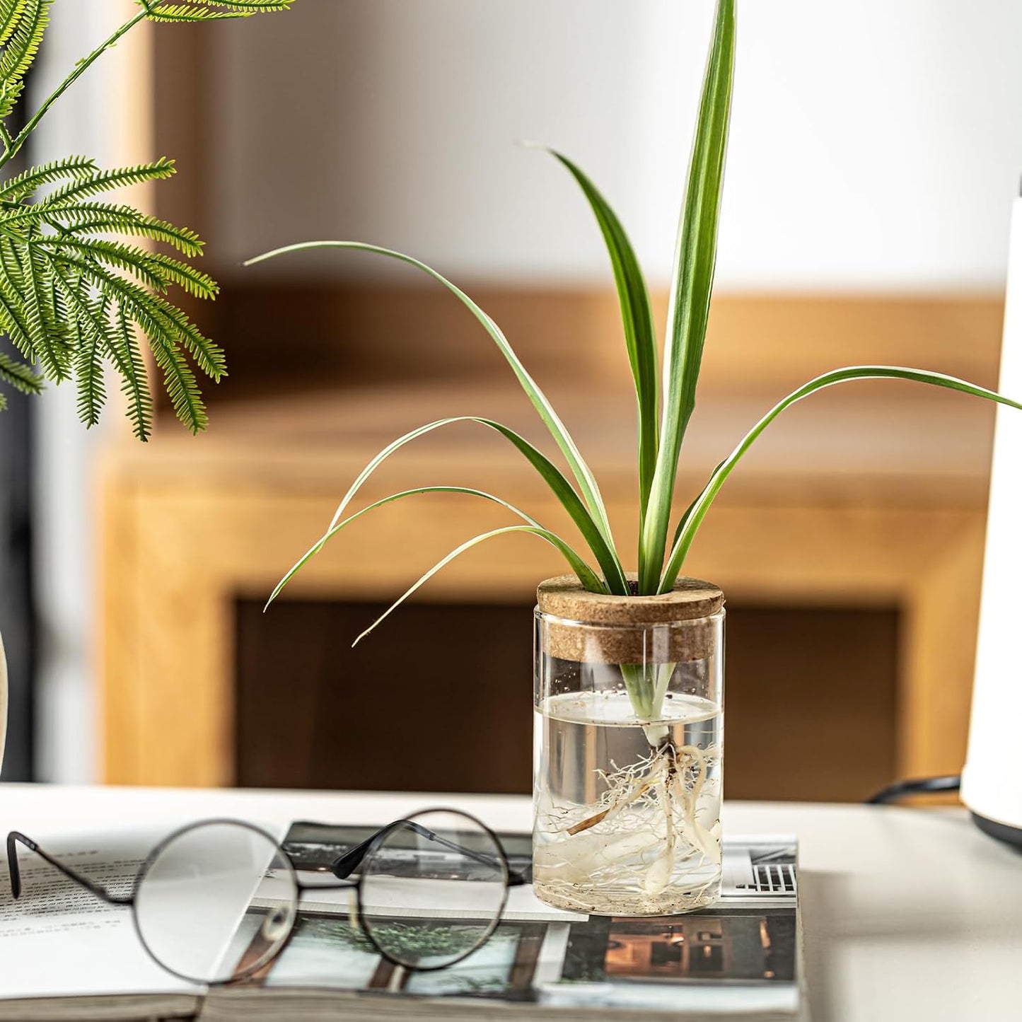 Glass Plant Propagation Stations for Plants – Set of 4(6 Large & 6 Small) Hydroponic Vases for Plant Cuttings,Flower Arrangements, Home & Office Decor–Desktop Vases for Living Room, Bedroom (12)