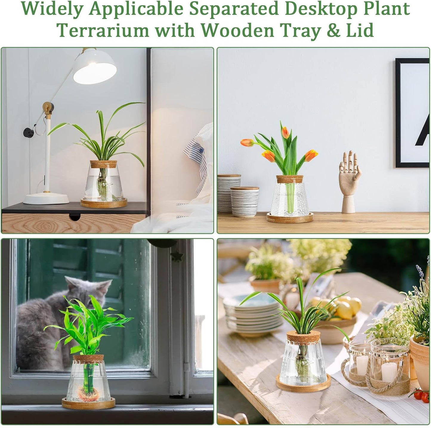 6 Pcs Plants Propagation Station Separated Desktop Plant Terrarium with Wood Lid and Stand, 3 Sizes Glass Planter Propagated Jars Propagation Vases for Indoor Home (Cute Style)