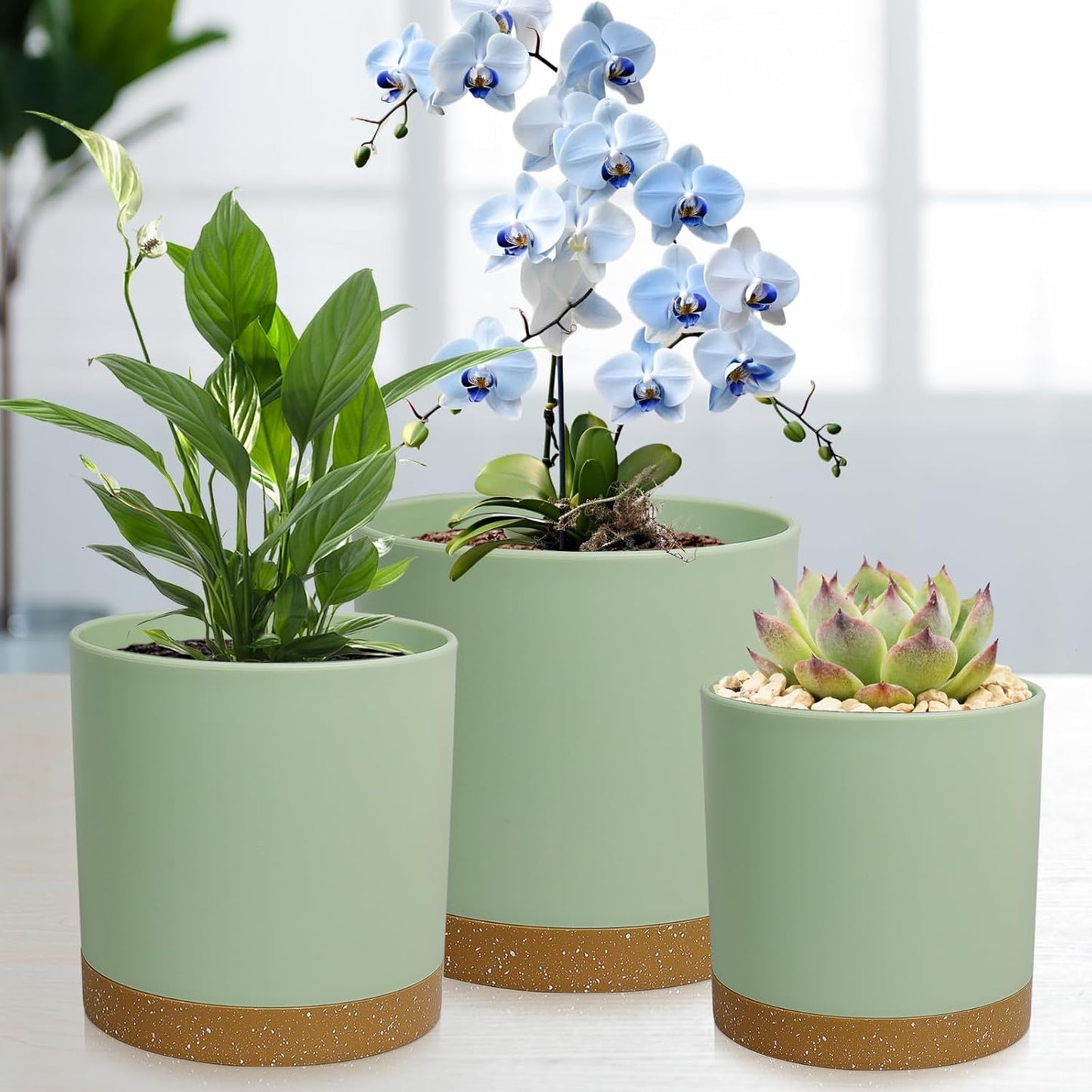 3 Pack 6/5/4 inch Cylindrical Flower Pots, Modern Small Round Plastic Plant Pots with Drainage Holes & Saucers, Clean and Refined Planter Pots for Outdoor, Indoor & Office Decor (Green Brown)