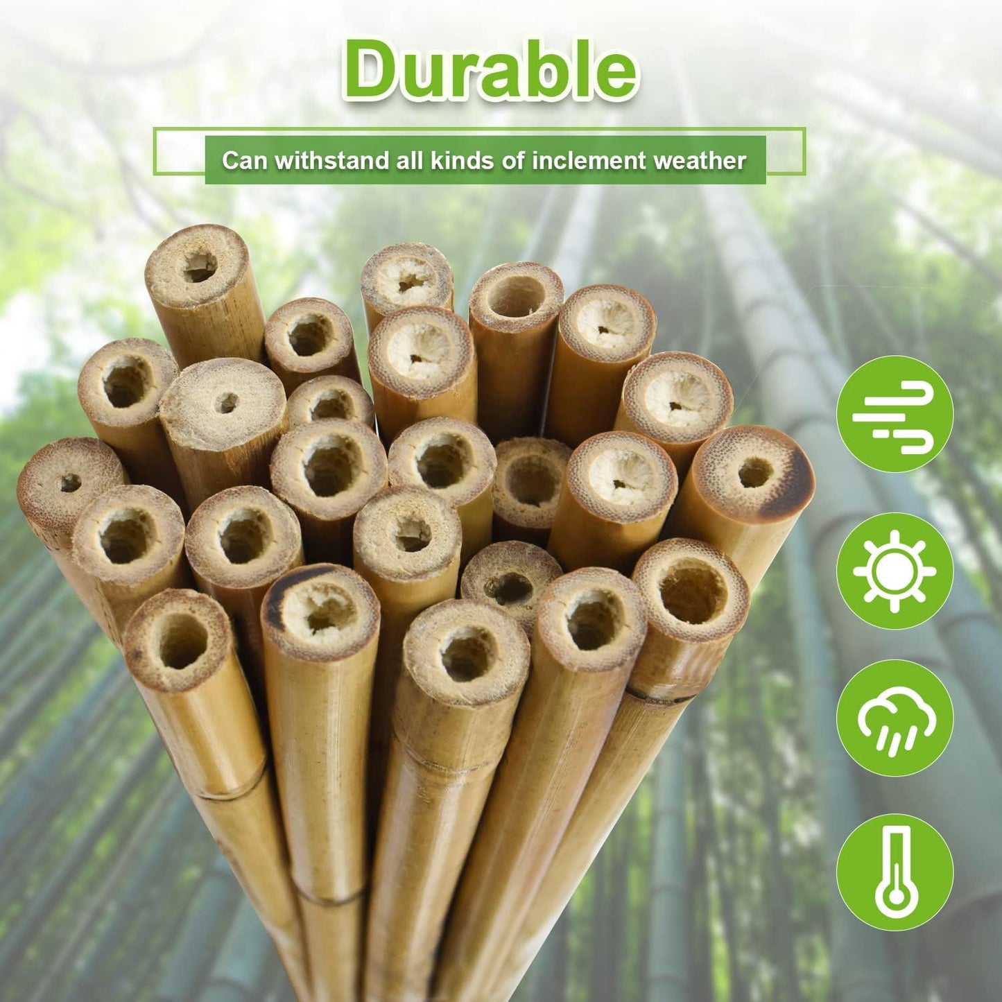 20pcs 5/8" D Thicker Heavy Duty Bamboo Stakes, 6FT Plant Stakes, Natural Garden Stakes for Tomato, Bean, Flowers,Trees Potted and Climbing Plant Support