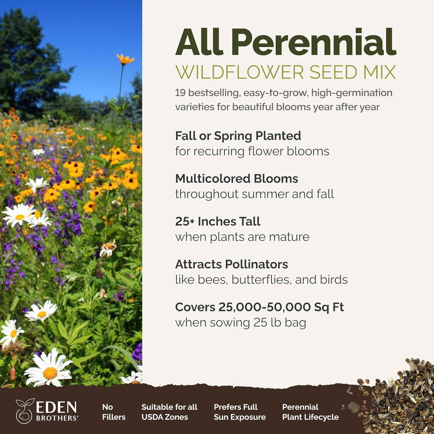 Eden Brothers All Perennial Wildflower Mixed Seeds for Planting, 25 lb, 12,000,000+ Seeds with Lupine, Shasta Daisy | Attracts Pollinators, Plant in Spring or Fall, Zones 3, 4, 5, 6, 7, 8, 9, 10