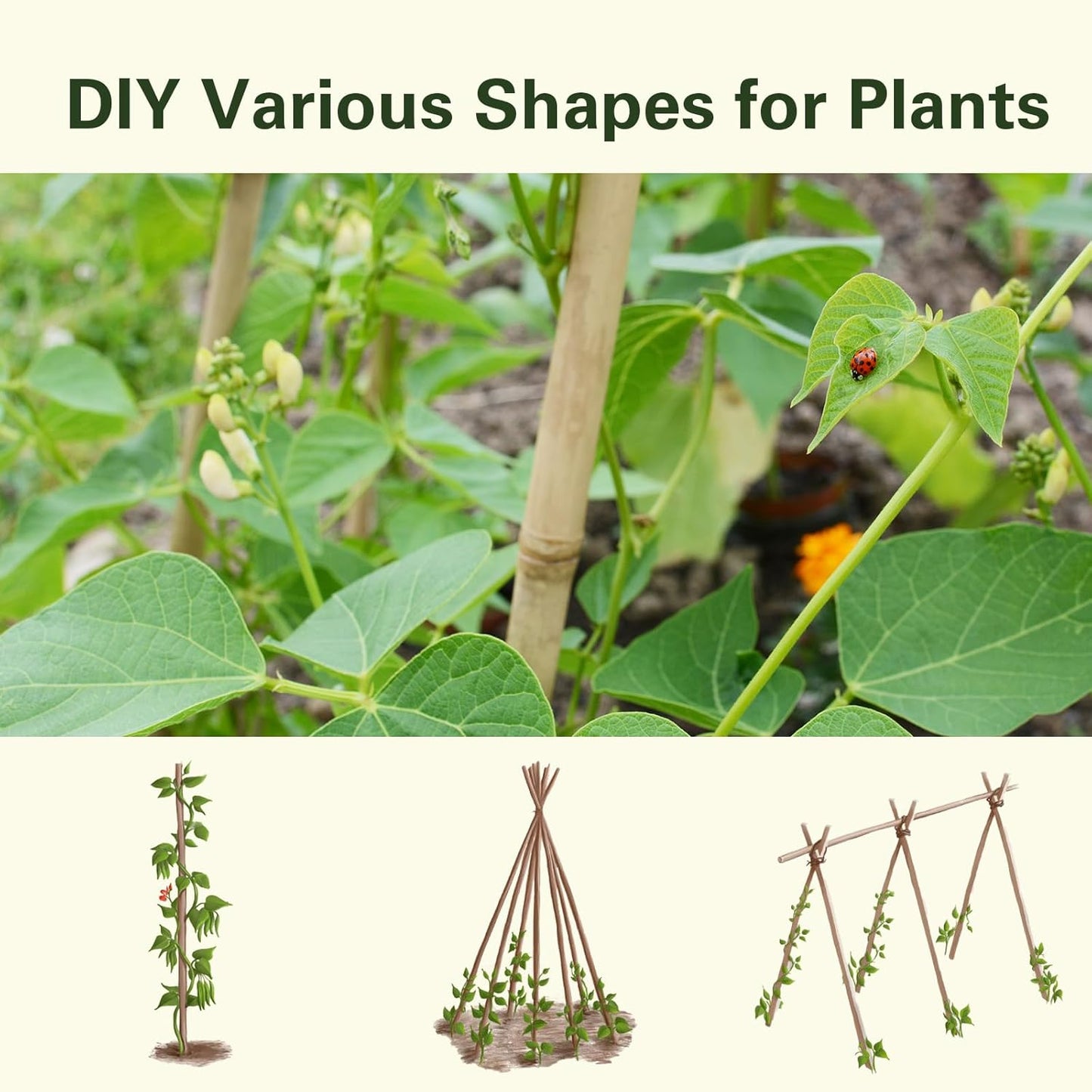 30pcs Bamboo Stakes 4FT, Garden Stakes 48 inch Multi-Purpose, Plant Stakes for Tomatoes, Beans, Cucumbers, Peppers, Flowers, Potted, Maintain The Plant Posture, Strengthen and Stem