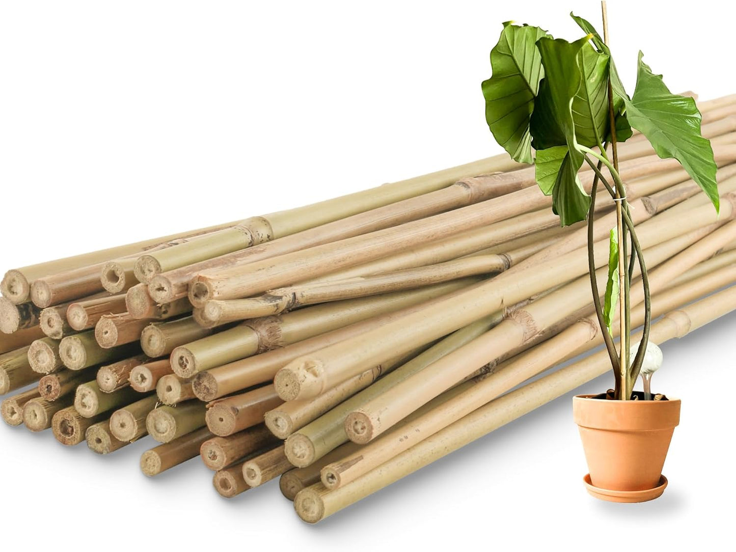 50Pcs / 3ft Bamboo Plant Stakes for Indoor Outdoor Plants, Garden Plant Support Sticks, Poles for Tomato Vegetables Beans Trees Potted Climbing Plants(0.32''-0.4'')
