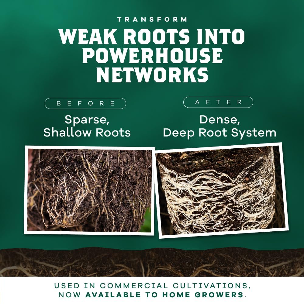 DYNOMYCO Granular Mycorrhizal Fungi Inoculant, 340g / 12oz – Boosts Root Growth, Yields & Nutrient Uptake – 900 Propagules/g, Concentrated Granules, & OMRI Listed – Biofertilizer for Plant Growth