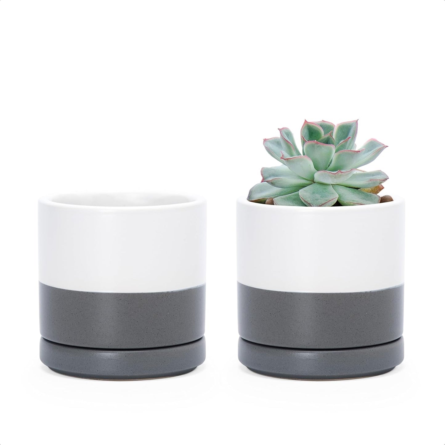 D'vine Dev Set of 2 Plants Pots, 3.5 Inch Ceramic Planter Pot for Plants with Drainage Hole and Saucer, White/Speckled Grey, 94-V-A-6