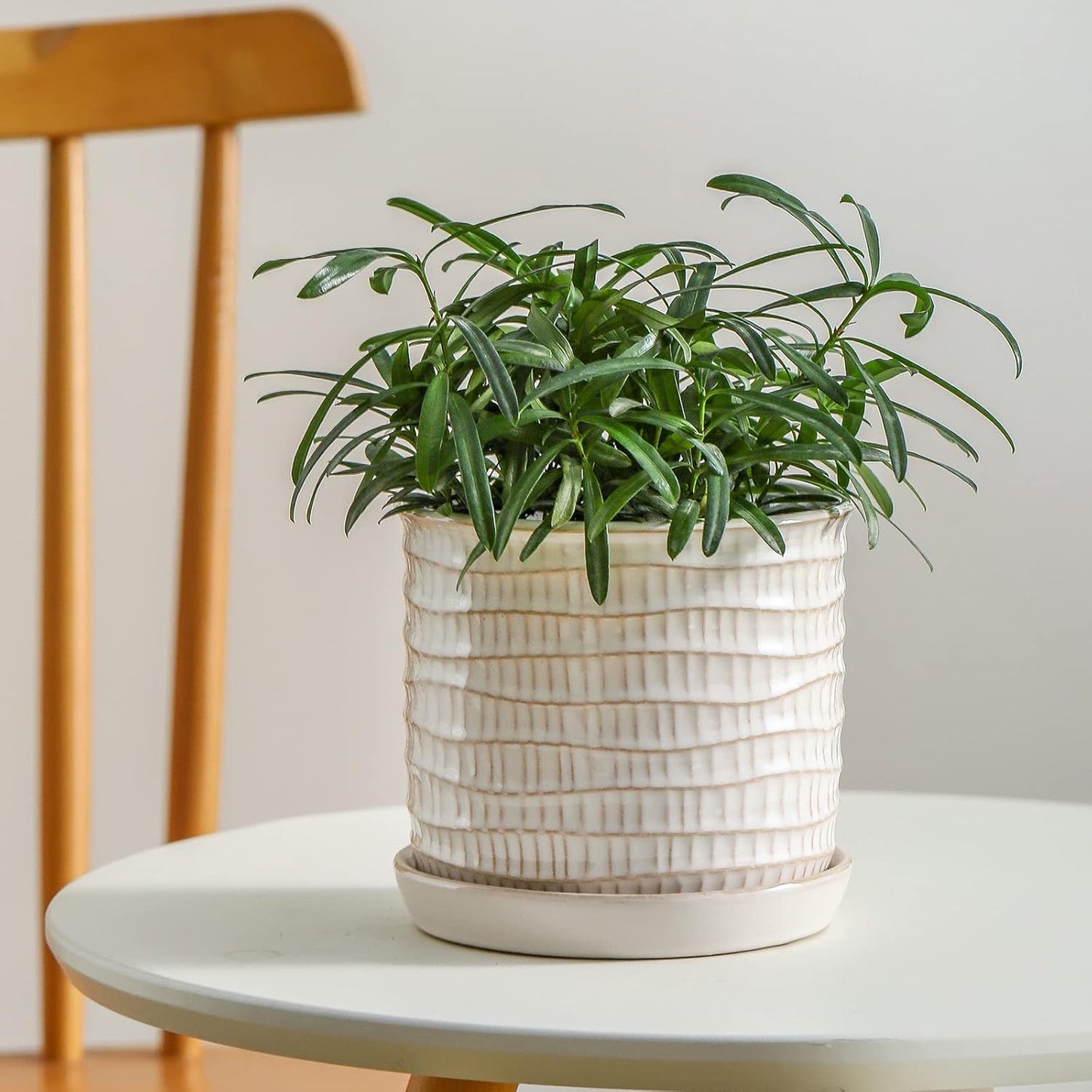 5.8 Inch Plant Pot: Ceramic Planter with Drainage Hole & Saucer for Indoor Outdoor Plants - Flowerpot with Bonded Tray for Home Office - Wave Embossed