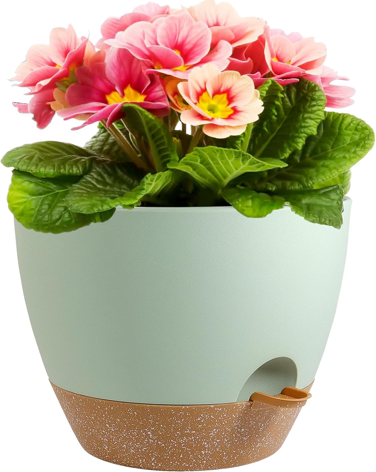 12 inch Large Self Watering Pots, Plant Pots with Mesh Drainage Holes for Indoor Outdoor Plants, Plastic Planters with Deep Reservoir for Garden House Flower Plants, Green with Brown