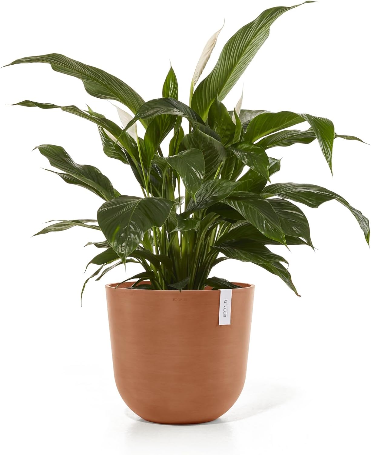 Ecopots Oslo Durable Modern Round Indoor/Outdoor Recycled-Based Composite Flower Pot Planter, Terracotta Color, 17.75"