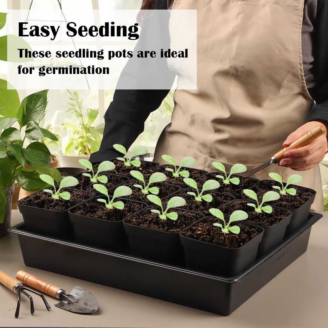 3.15 inch (8CM) Square Nursery Pots 100 pcs, Sturdy Seedlings Trays 5 Pcs, Seeds Starter Germination Tray, Microgreening Planter Nursery Propagation 5 Sets