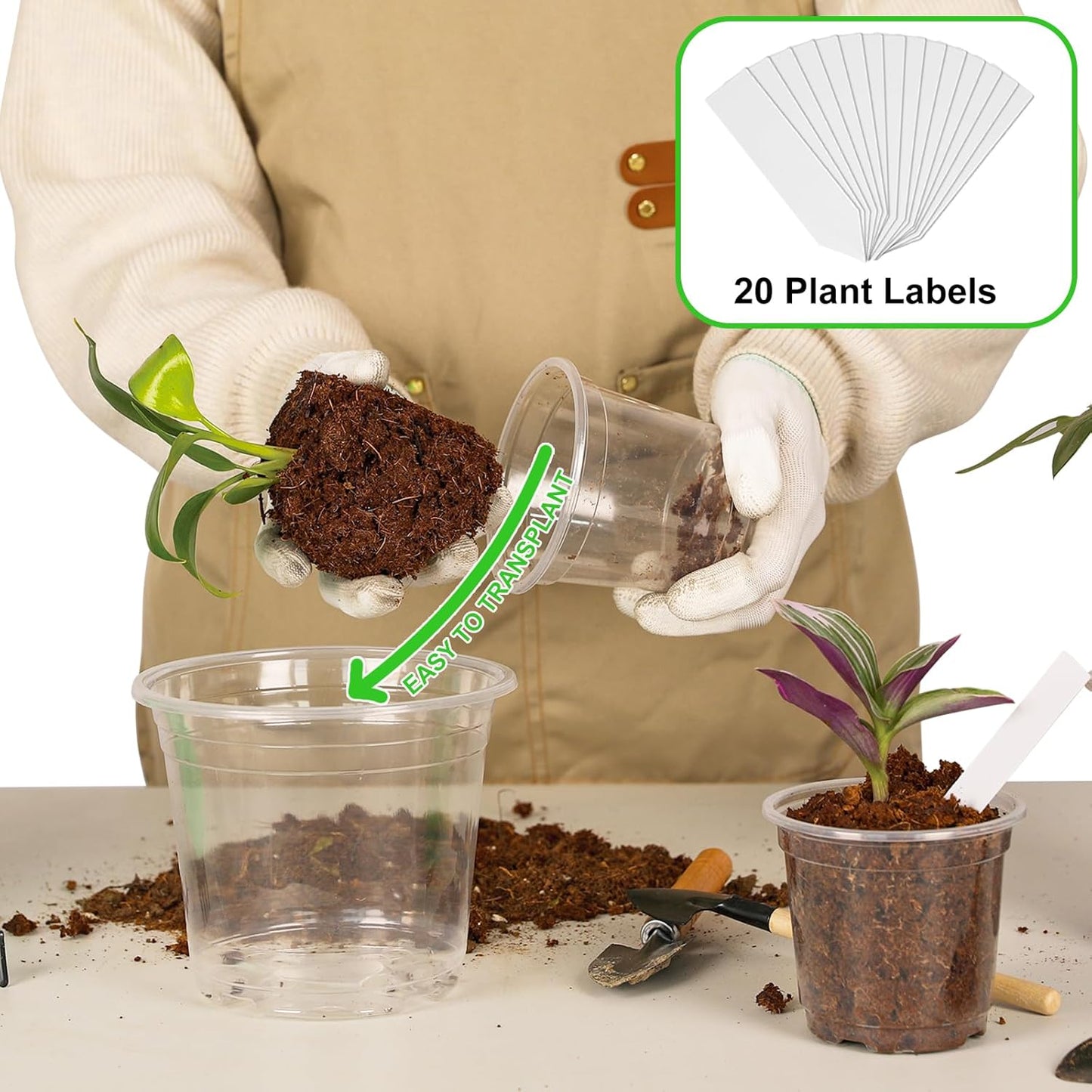 36 Pack5/6/7Inch Clear Nursery Pots with Drainage Hole,Variety Sizes Seed Starting Pots Transparent Plastic Plant Pots for Plants Transparency with 20 Plant Labels