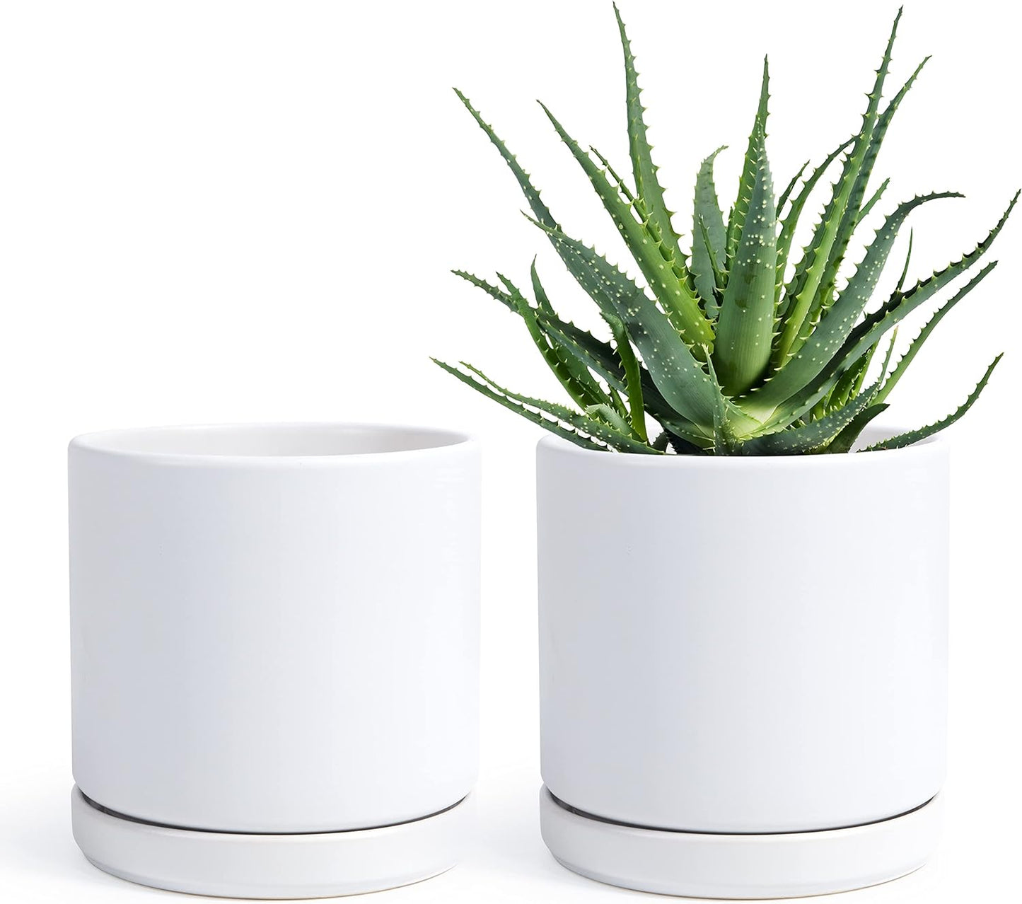 D'vine Dev Set of 2 Plants Pots, 6 Inch Ceramic Planter Pot for Plants with Drainage Hole and Saucer, White, 94-V-C-1