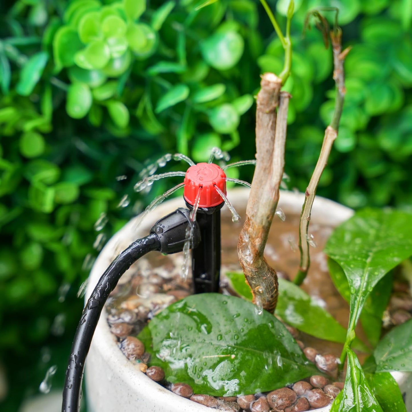 50 Pieces Drip Emitters for 1/4" Drip Irrigation Tubing, 25 Pcs Vortex Emitters and 25 Pcs Stream Emitters Adjustable 360 Degree Full Circle Drip Emitters with Stake