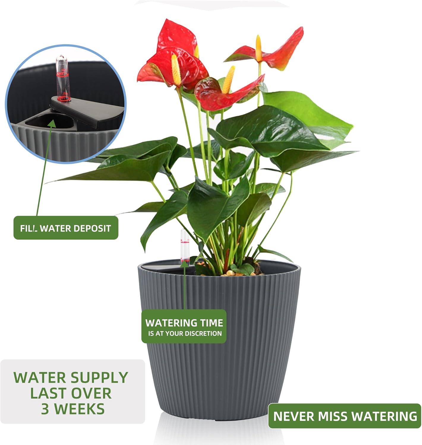 Dexceder 11x10 Self Watering Planters Indoor, Inner Mat Design, Table Flower Plant Pot with Water Level Indicator (2 Pack, Gray)