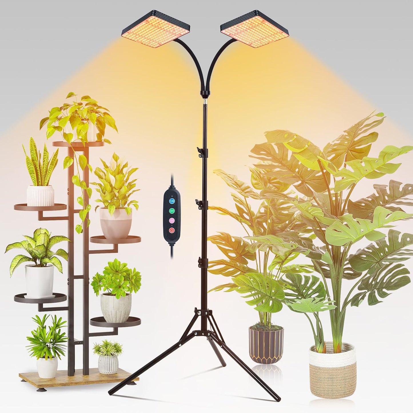 2-Head Grow Light with Stand 50W, FECiDA 2025 Grow Lights for Indoor Plants, Full Spectrum LED Plant Grow Light for Houseplants, Bonsai Tree, 4,8,12,16 Hr Timer and 360° Gooseneck