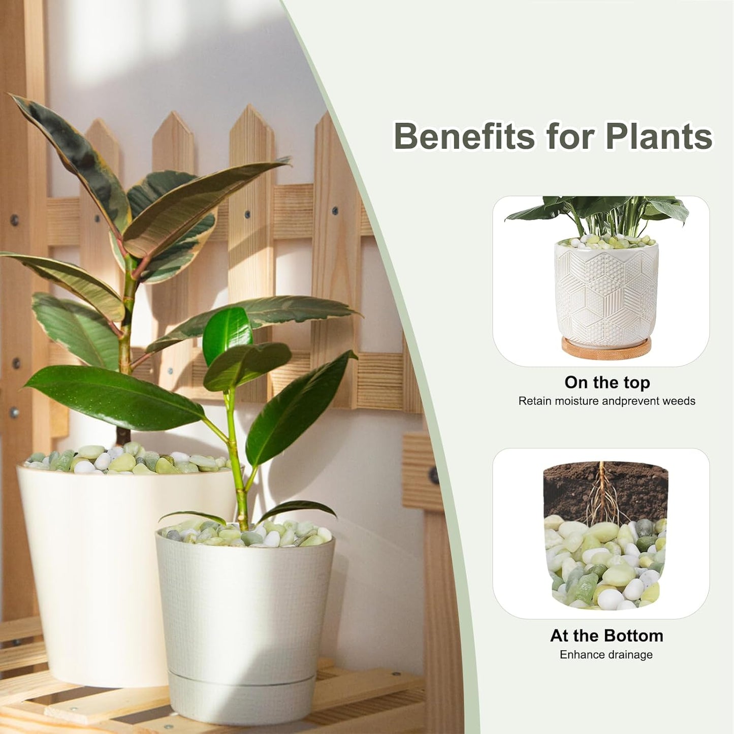 5 lbs Jade Pebbles for Indoor Plants, Decorative Pebbles for Bamboo, Vase, 3/8" Plant Gravel for Pots Indoor, Highly Polished Small River Rocks