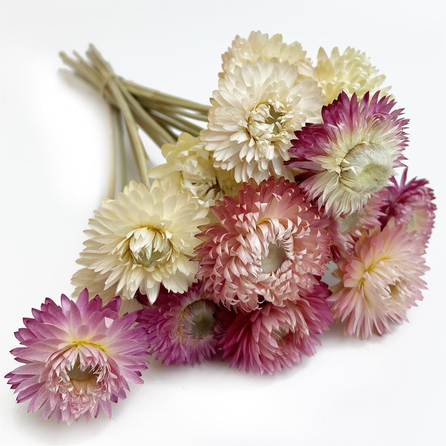 L'BREVOGA Dried Flower Bouquets, 16 pcs 100% Natural Daisy Strawflower for Decoration Home Party - Pink & White