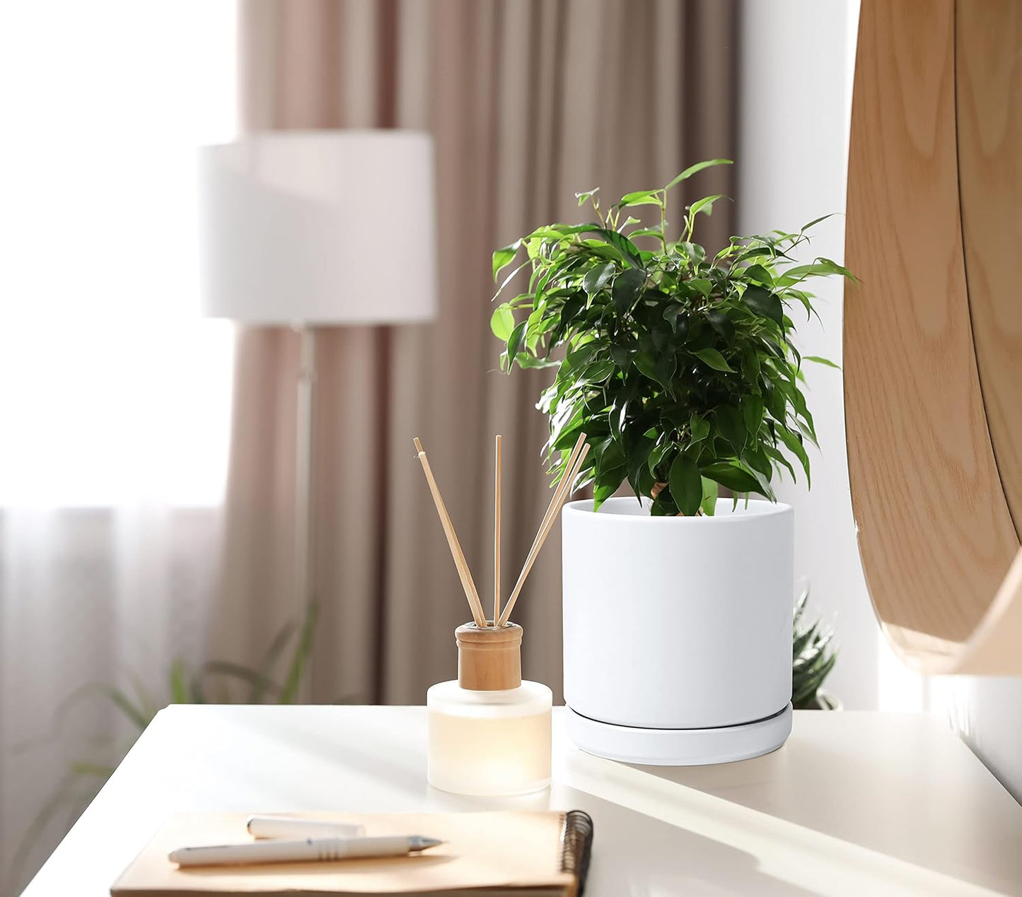 D'vine Dev Set of 2 Plants Pots, 6 Inch Ceramic Planter Pot for Plants with Drainage Hole and Saucer, White, 94-V-C-1