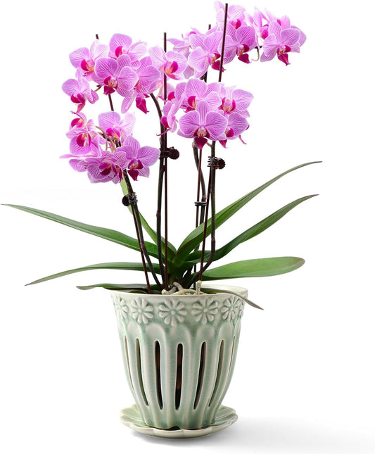 5" Ceramic Orchid Pots with Holes | Crackle Glazed Orchid Pot with Drainage and Separate Saucer | Ideal Plant Pot for Repotting Orchids and Other Flowers(Green)