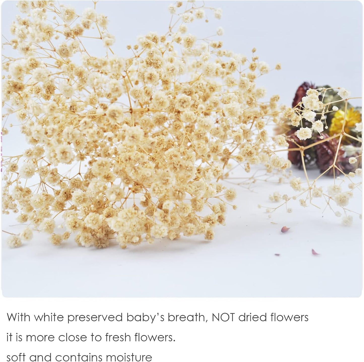 L'BREVOGA Dried Flower Bouquets, Natural Dried Daisy, Chrysanthemums with Baby’s Breath for Floral Arrangement Home Decoration Party Gift (Daisy)