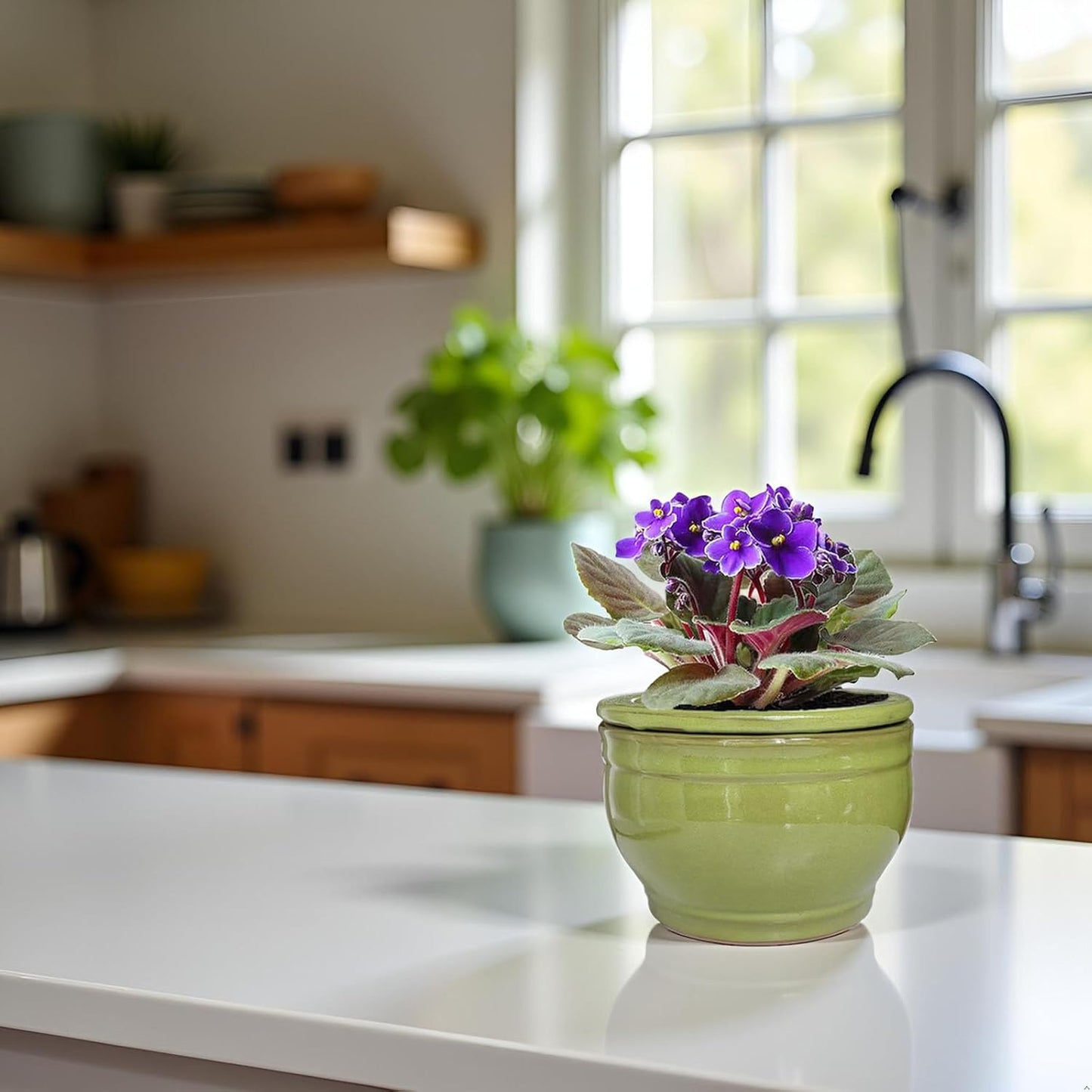 African Violet Pots Self Watering Round Ceramic Violet Pot (Green, 6 inch)