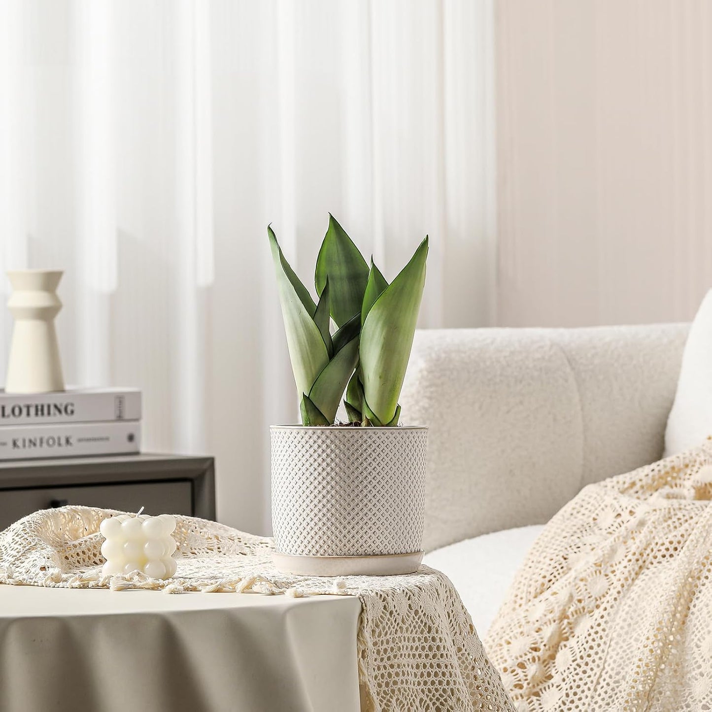 5.8 Inch Plant Pots: Ceramic Planter with Drainage Hole & Saucer - Flowerpot for Indoor & Outdoor Plants - Beaded Embossed Design White - with Separate Tray