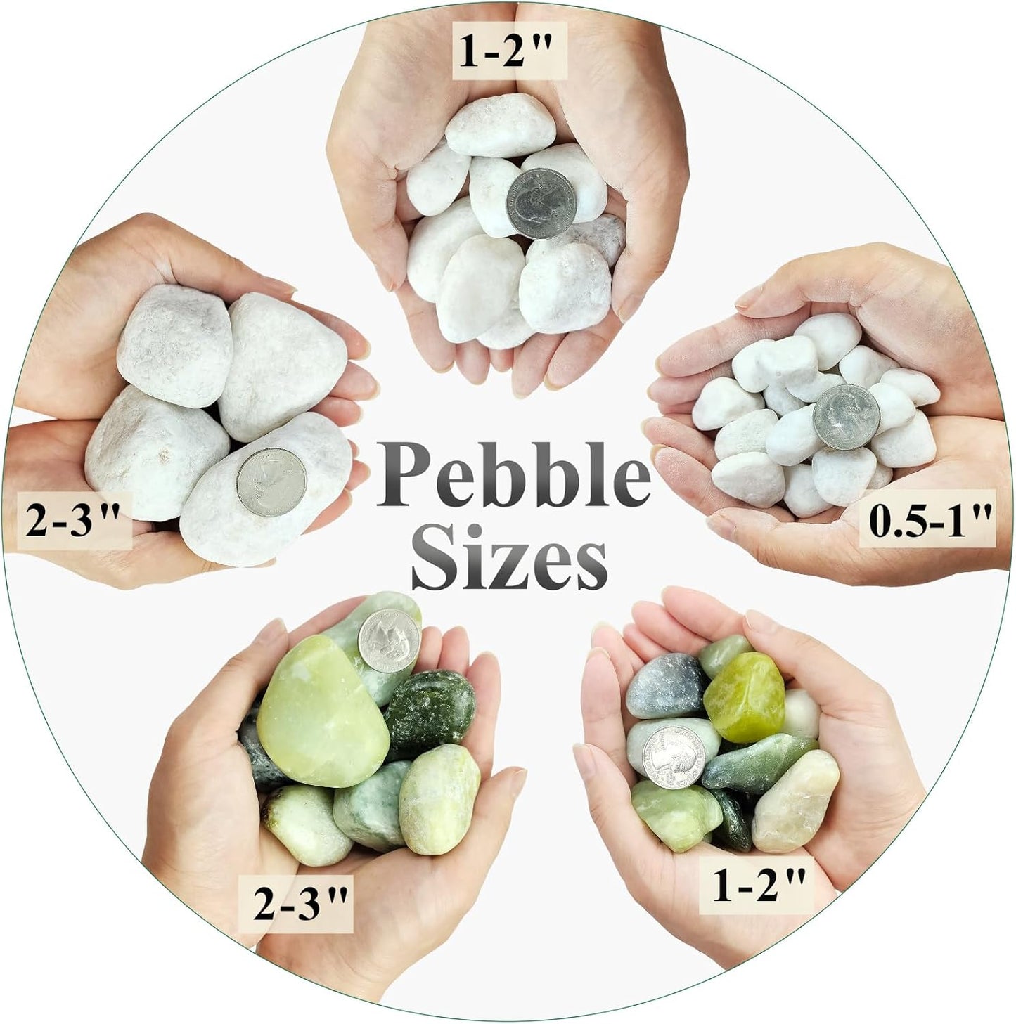20 lbs White Stones for Landscaping, 1-2 Inch Pebbles Decorative River Rocks for Plants Indoor, Vases, Aquariums Gravel, Crafting and Garden